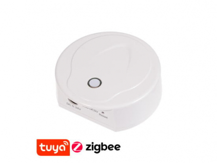 SMART ZIGBEE Gateway dimLED G1